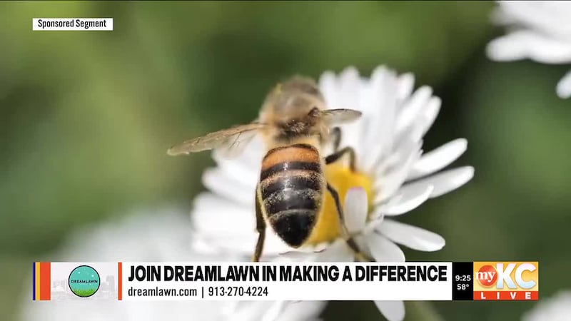 We celebrated Earth Day earlier this week, but the pros from Dream Lawn are challenging the...