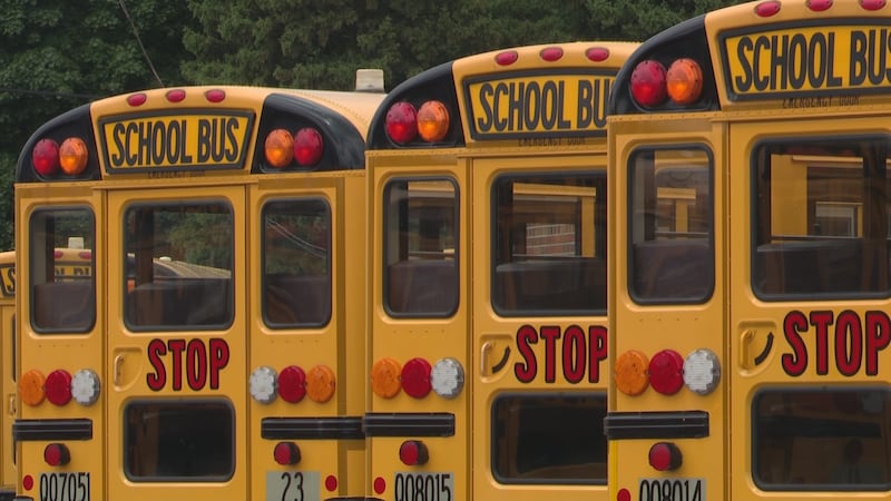 School busses