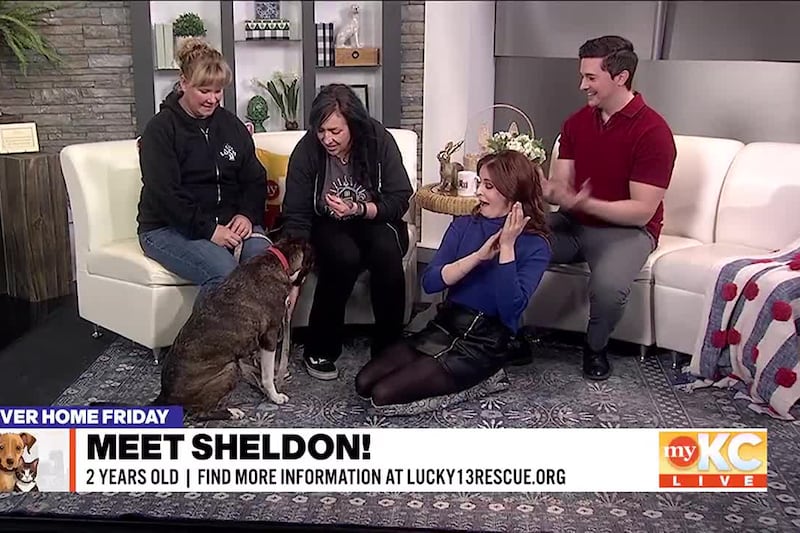 Mandy LaVelle from Lucky 13 Rescue joins Shane and Kerrigan to introduce us to Sheldon, a...