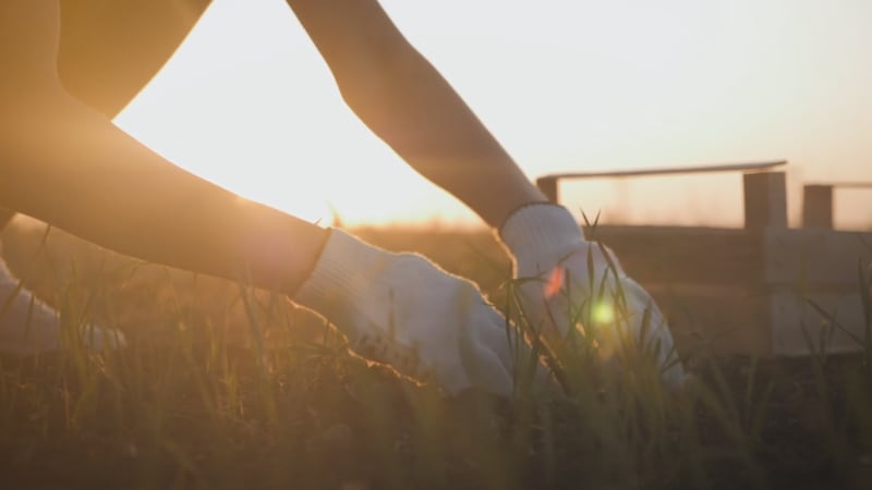 While many think fall brings the gardening season to a close, it's actually a great time put...